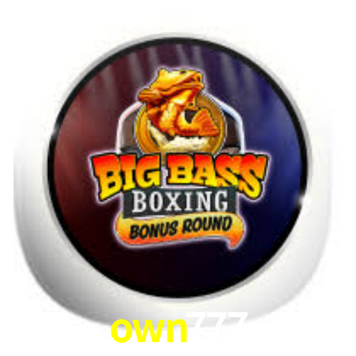 Interface Premium own777