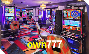 Casino Ao Vivo own777